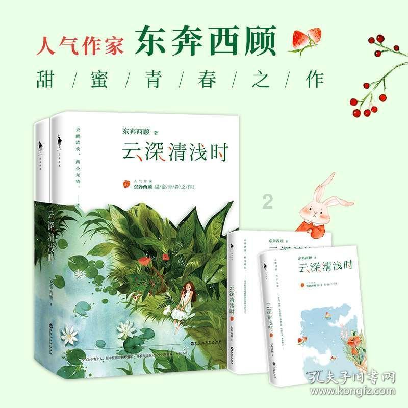 可爱的小考拉