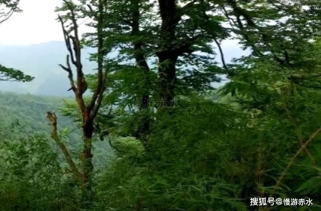 营救迷路的小男孩